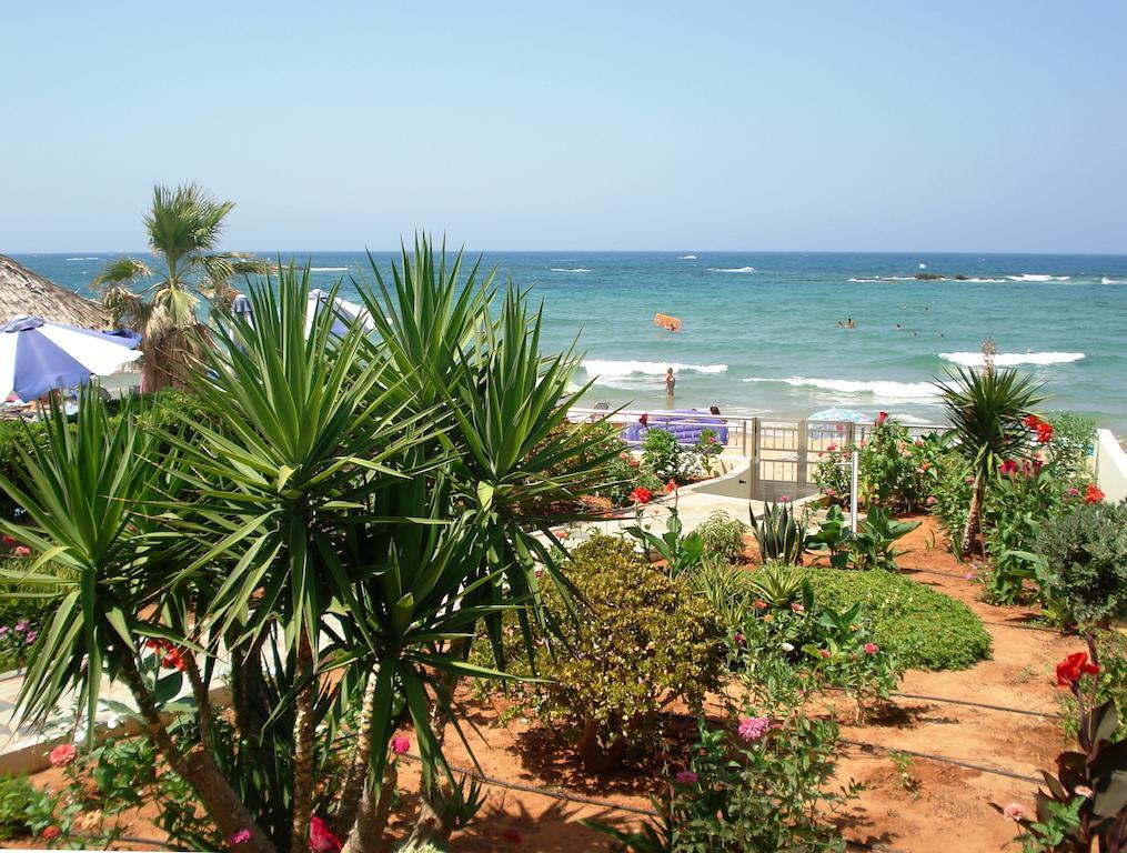 Seagull Studios Σταλίδα Εξωτερικό φωτογραφία