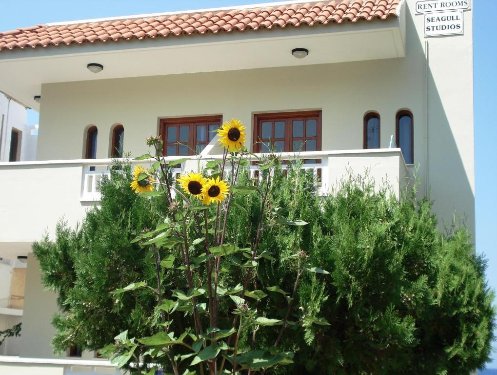 Seagull Studios Σταλίδα Εξωτερικό φωτογραφία